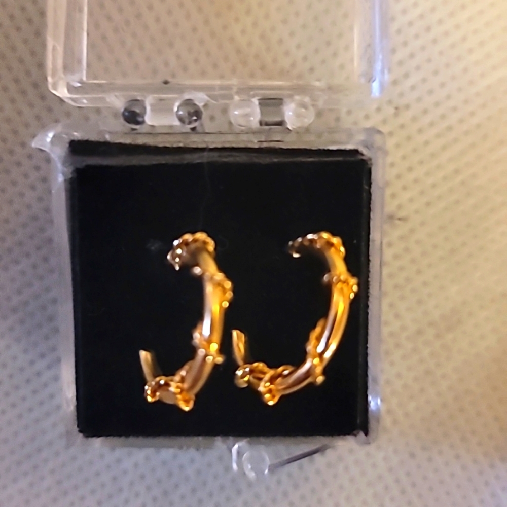 Wrapped wire hoop earrings